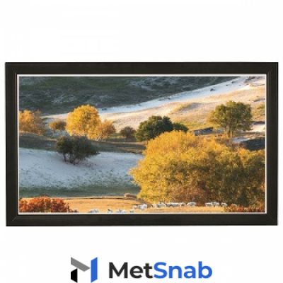 Экран на раме Viewscreen Omega (16:10) 250*162 (234*146) MW (OMG-16101)