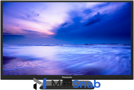 Телевизор Panasonic TX-24FR250